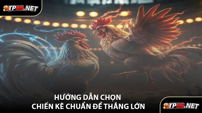 Hướng Dẫn Chọn Chiến Kê Chuẩn Để Thắng Lớn